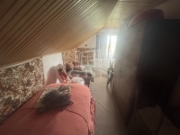 Mohács Családi ház