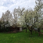 Balatonakarattya Telek