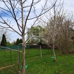 Balatonakarattya Telek