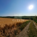 Balatonkenese Nyaraló