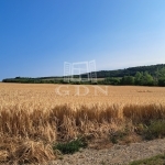 Balatonkenese Nyaraló