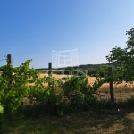 Balatonkenese Nyaraló