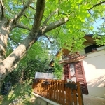 Balatonkenese Nyaraló