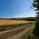 Balatonkenese Nyaraló