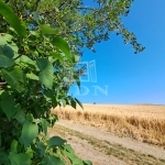 Balatonkenese Nyaraló