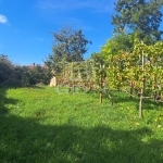 Balatonkenese Családi ház