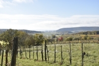 Óbudavár Családi ház