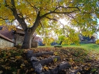 Pécsely Családi ház